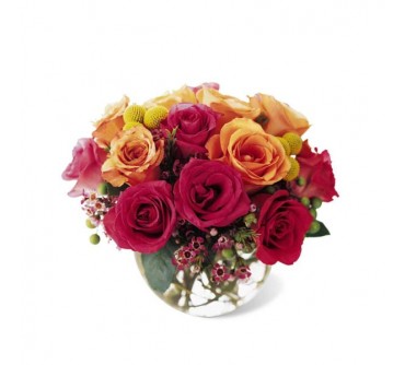 Sundance Premium Rose Bouquet